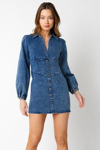 Jane Denim Dress