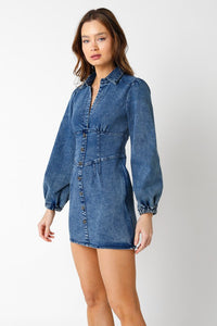Jane Denim Dress