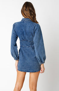 Jane Denim Dress