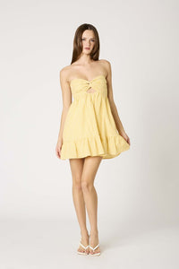 Ashley Gingham Dress