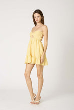Ashley Gingham Dress
