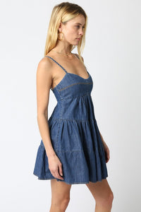 Kylie Denim Dress