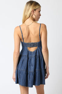 Kylie Denim Dress