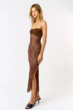 Brielle Mesh Dress