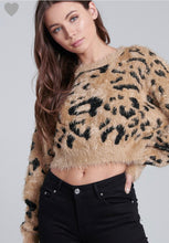 Alena Sweater